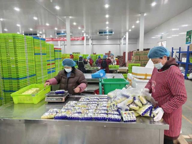 年味漸濃，果蔬禽畜開啟“春運”模式